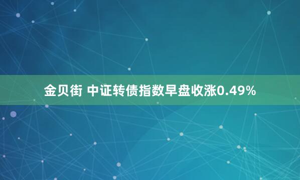 金贝街 中证转债指数早盘收涨0.49%