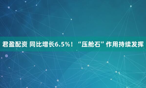 君盈配资 同比增长6.5%！“压舱石”作用持续发挥