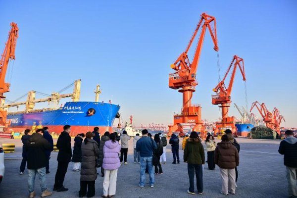 日升策略 绿动齐鲁 数智赋能丨从“智慧绿色”到“中国范式” ，青岛港的“双五星”答卷是如何炼成的？